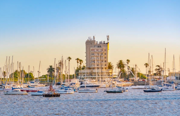 乌拉圭海关数据查询平台（附免费试用查询名额)